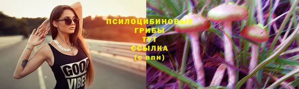 MESCALINE Богородицк